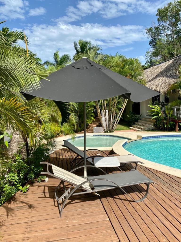 Chalet Tropical Au Coeur De Лас Терренас Экстерьер фото